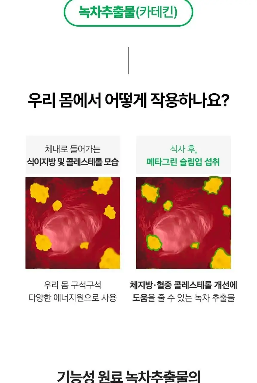 [단품/1개월] 바이탈뷰티 메타그린 슬림업 30일 상세페이지 14